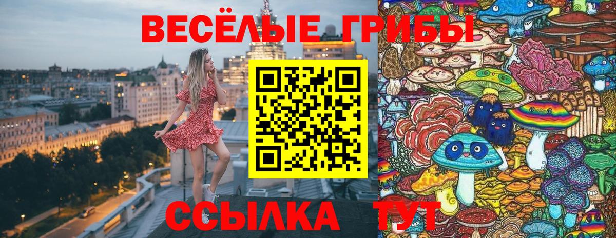 Галлюциногенные грибы Magic Shrooms  Вход с VPN  Псилоцибиновые грибы Psilocybine cubensis  магазин продажи   Грязи 
