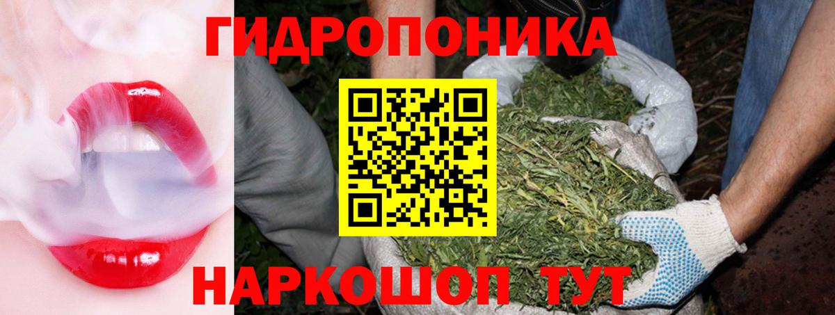 Бошки марихуана AK-47  Бошки Шишки тримм  Грязи  Вход с VPN  МАРИХУАНА сатива 
